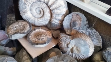 Фото нашего гида Елены Кузура