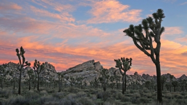 Фото: William Foley, unsplash.com