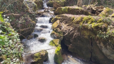 Фото нашего гида Елены Кузура