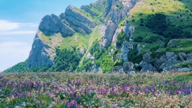 Фото: Sergey Chuprin, unsplash.com