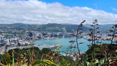 Фото: JustGoThere.NZ