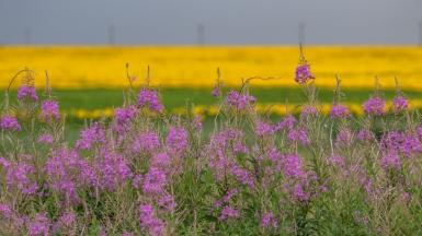 Фото нашего гида Михаила Верёвченко