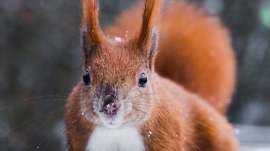 Фото: Atakan Narman, unsplash.com