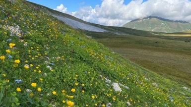 Фото нашего Странника Артёма Кучмы