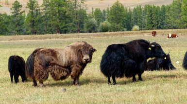 Фото нашего Странника Бориса Полынкина