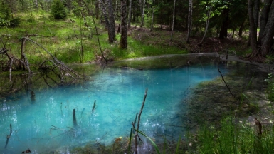 Фото нашего гида Михаила Верёвченко
