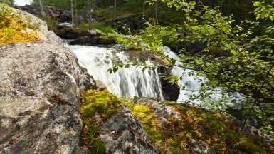 Фото: -5Nap- on VisualHunt