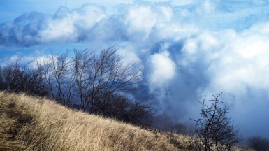 Фото: qwz, visualhunt.com