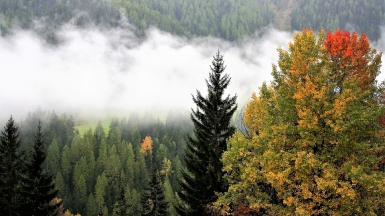 Автор: LSC. Источник: pixabay.com