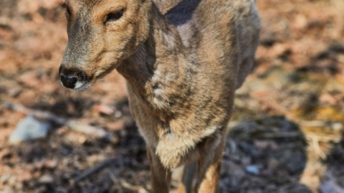 Фото Tengyart wJ для Unsplash.com