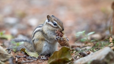 Фото нашего гида Михаила Верёвченко