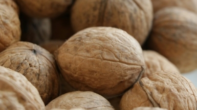 Фото: daria rudyk on unsplash