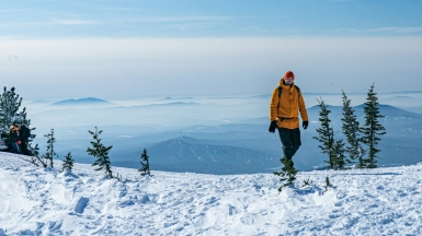 Фото: mikhail vinogradov on unsplash