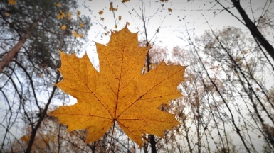 Фото наших Странников