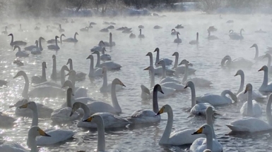 Фото нашего гида Натальи Герасимовой