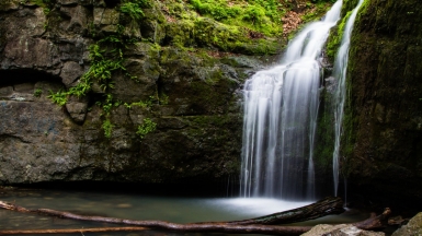 Фото из архива Клуба