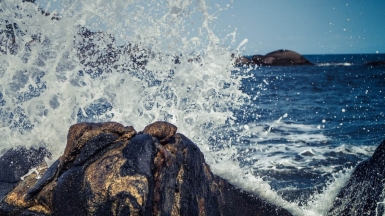 Фото: Breno Machado, unsplash.com