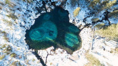 Фото Алексея Горна