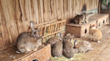 Фото нашей Странницы Анастасии Ивановой