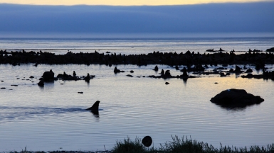 Фото: Евгений Витюгов