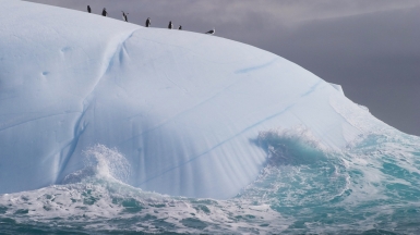 Фото: NOAA Photo Library, visualhunt