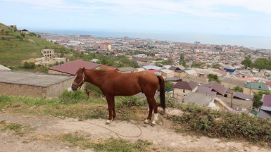 Фото нашего Странника Николая Прохорова