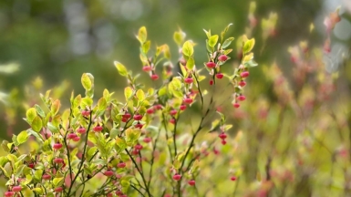 Фото наших Странников