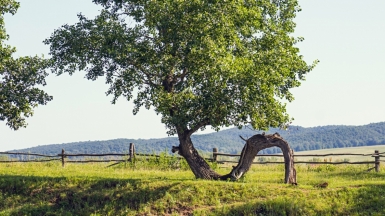 Фото из архива Клуба