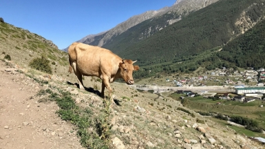 Фото наших Странников