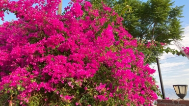 Фото нашей Странницы Анастасии Палагиной