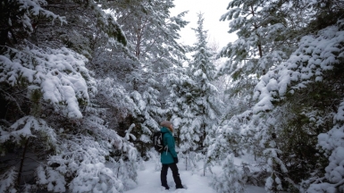 Фото нашего гида Михаила Верёвченко