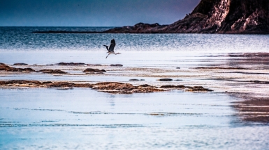 Фото: oldravvv, visualHunt