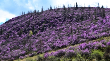 Фото нашего Странника Сергея Малыгина