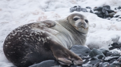 Фото: Yuriy Rzhemovskiy on unsplash