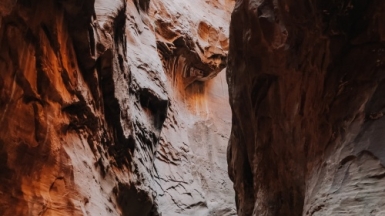 Фото: Isaac Martin, unsplash.com