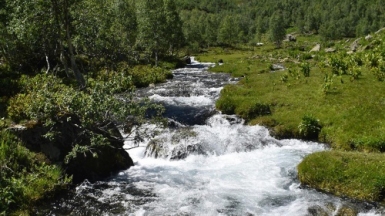 Фото нашего гида Геннадия Скосырева
