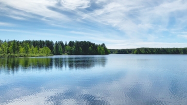 Фото: sergei.gussev on VisualHunt