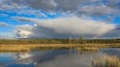 Фото нашего гида Михаила Верёвченко