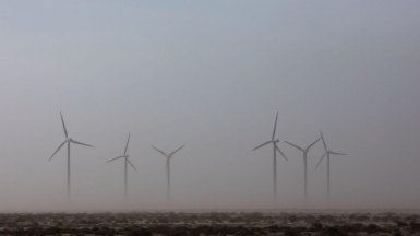 Фото нашего гида Михаила Верёвченко