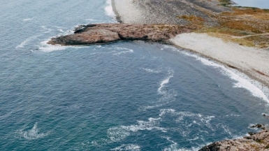 Фото: ivan shemereko on unsplash