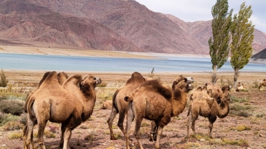 Фото наших Странников