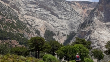 Фото нашего гида Марины Чудновской