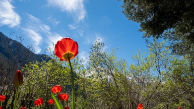 Фото нашего Странника Кирилла Родионова