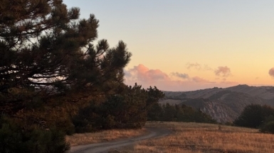 Фото нашей Странницы Аси Моисеевой