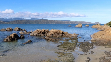 Фото из архива Клуба