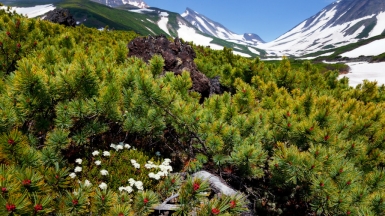 Дзендзур, фото: Степанов Илья