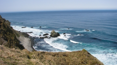 Фото: SuricataJ, wikimedia.org