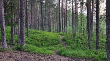 Фото нашего гида Алексея Петровского