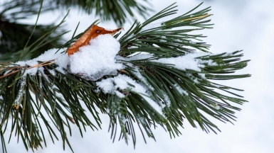 Фото: Yoksel Zok, unsplash.com