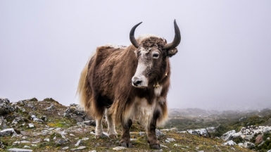 Фото: Toomas Tartes, unsplash.com